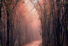 哪里下载世界杯买球app -广博(bó)股份(fèn)中(zhōng)标：常熟市赵市中(zhōng)学关于手(shǒu)套(tào)的网上(shàng)商城采购项目成交公告