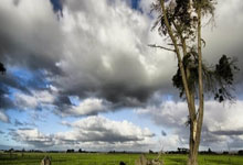 买球app -中(zhōng)央网信办：将发布《人工(gōng)智能应用伦理(lǐ)安全指引（1.0版）》