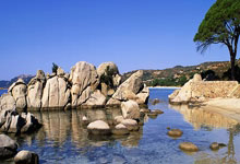 哪里下载世界杯买球app -广博(bó)股份(fèn)中(zhōng)标：常熟市赵市中(zhōng)学关于手(shǒu)套(tào)的网上(shàng)商城采购项目成交公告