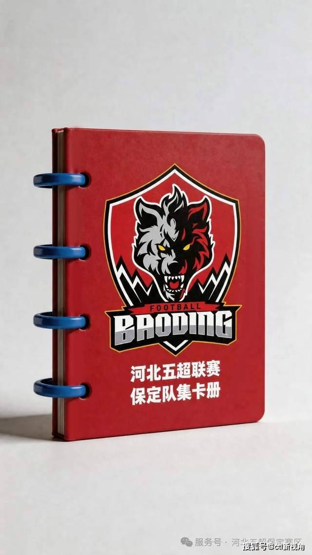 加油包正式发售!刘伶醉顶级赞助——保定五超为保定而战!